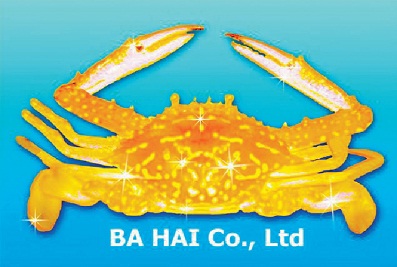 BA HAI JOINT STOCK COMPANY